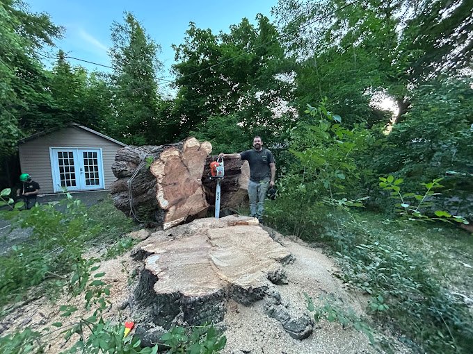 About J.M Tree Service and Joshua Miesch