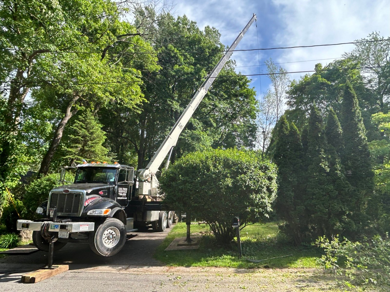 Tree Service Equipment